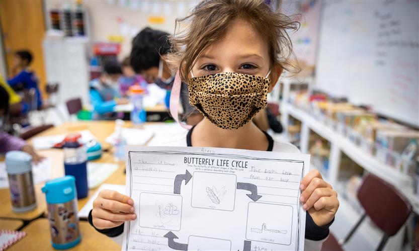 Kenrose Elementary students learn about butterflies